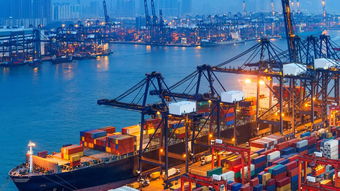 晴川供應(yīng) 青島至杰克遜維爾海運(yùn)貨運(yùn)代理服務(wù)